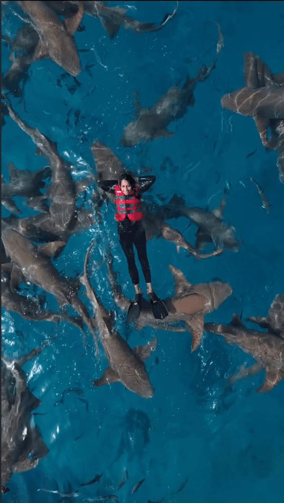 Swimming with Sharks